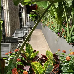 Patio
