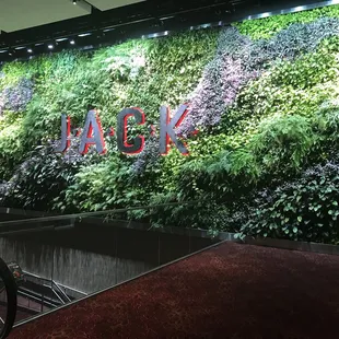 Along the escalators