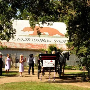 Bride &amp; groom Just Married in carriage with Percherons at Jack Tone Ranch.  Showing California bear flag on roof of 1860 Old Barn.