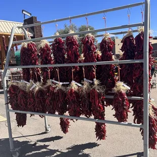 Dried chilis