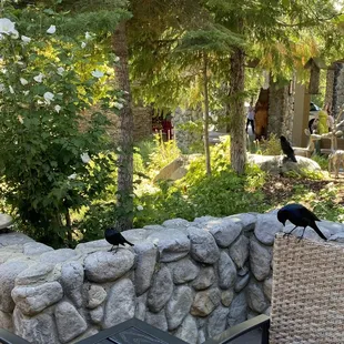 View from the patio seating