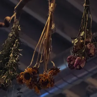 dried flowers hanging from the ceiling