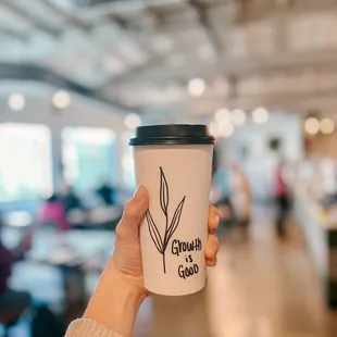 sushi and sashimi, drink