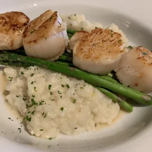 Scallops