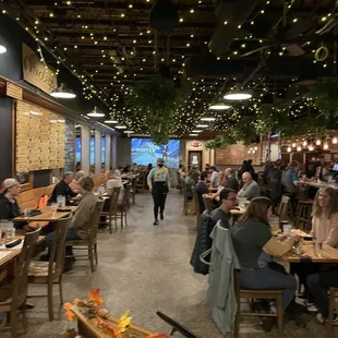 Love the plants and Christmas lights on the ceiling!