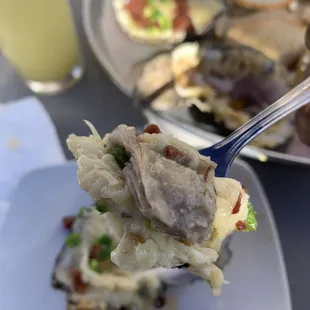Big oysters!