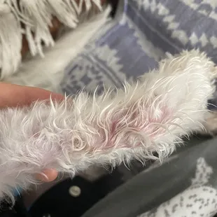 Bumps and skin irritation after grooming