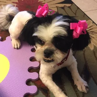 After with bows Jackie put in her hair