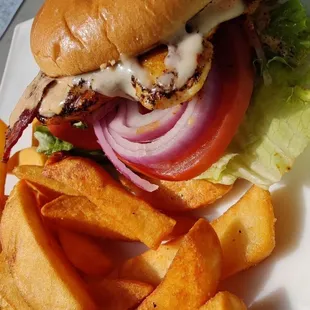Cajun Chicken Sandwich with fries