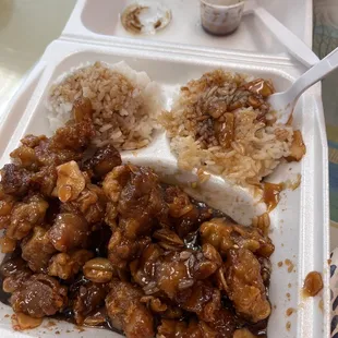 Honey Garlic Chicken Plate