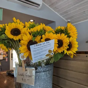 Fresh cut sunflowers