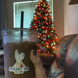 Iced Desert Tortoise