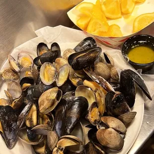 Steamed clam and mussel plate