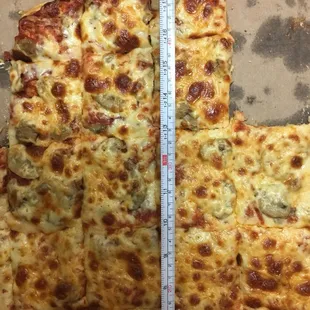 the size of the pizza