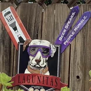 a dog wearing goggles and skis