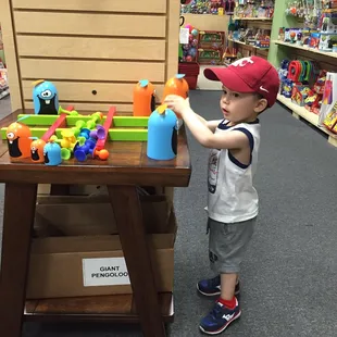 Little guy loving all the interactive hands on demo toys.