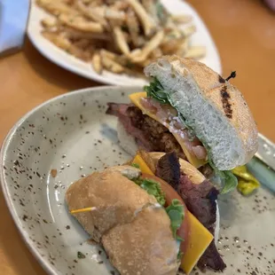 BBQ Tri Tip Sandwich and Small Garlic Fries