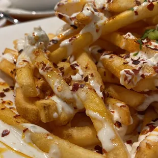 a plate of french fries