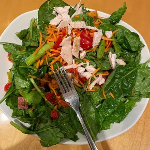food, salad, salads