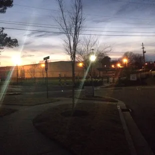 Dog park at sunset, still well lit.