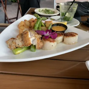 Red Snapper