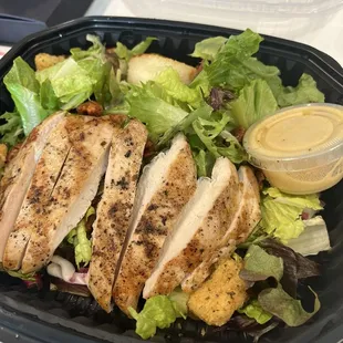 Warm Goat Cheese Salad