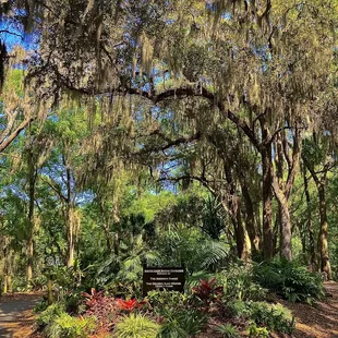 Jacksonville Arboretum