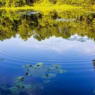Reflection of the blue sky