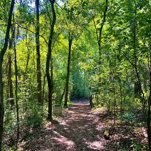Jacksonville Arboretum