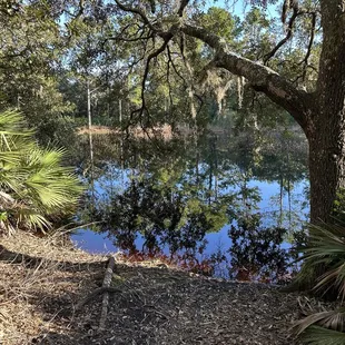 Lovely day to be outside and exploring the trails.