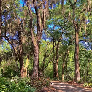 Jacksonville Arboretum
