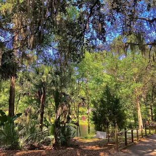 Jacksonville Arboretum