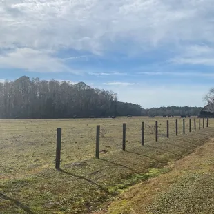 View from the Halsema parking lot
