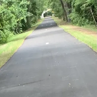 Wildlife on the trail (deer - barely visible)