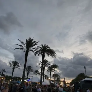 a crowd of people sitting on the grass
