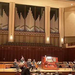 the organ of the concert hall
