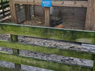 Tree Hill Jacksonville's Nature Center