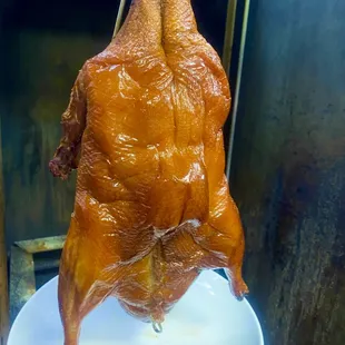 House Special Roast Duck