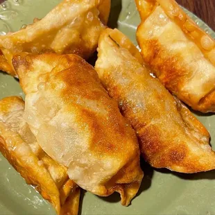 a plate of fried dumplings
