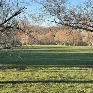 Loose Park as the sun is going down, creating beautiful, long shadows.