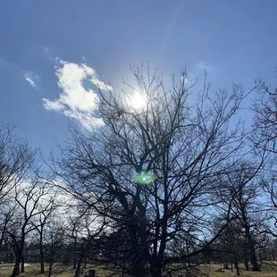 North side of the loop around the park.
