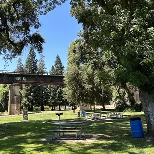 Picnic area