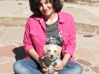 The Wolf Whisperer Dog Training & Boarding