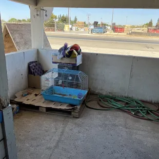 Pack cage in the corner of the shop