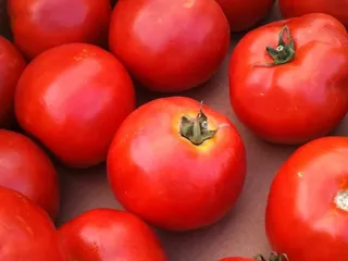 DePalma Farms