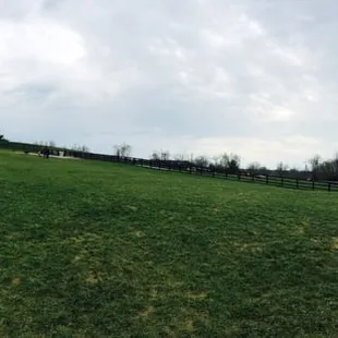 A great view of the park from up the hill