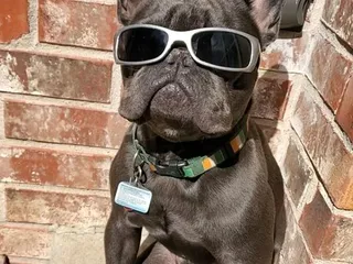 Chimney Hills Veterinary Hospital