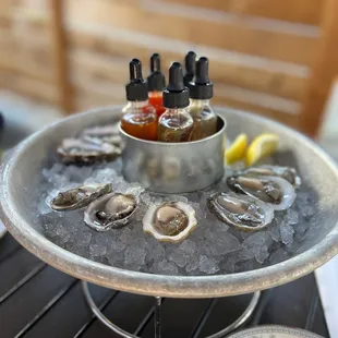 Oysters.