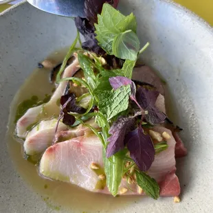 Yellowtail Crudo
