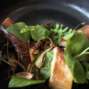 Salmon Belly Crudo